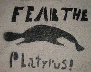 Fear The Platypus!